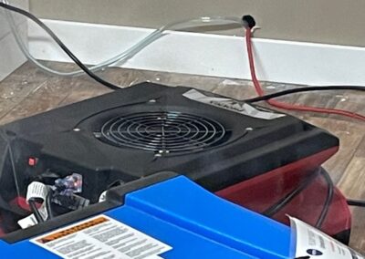 IMG 0085 - Green State Restoration