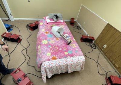 IMG 0253 - Green State Restoration