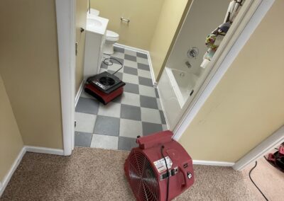 IMG 0255 - Green State Restoration