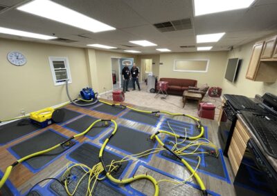 IMG 0263 - Green State Restoration